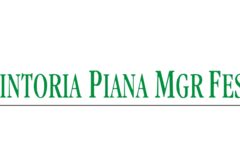 Kiadó raktár Tintoria Piana MGR Festöde Kft